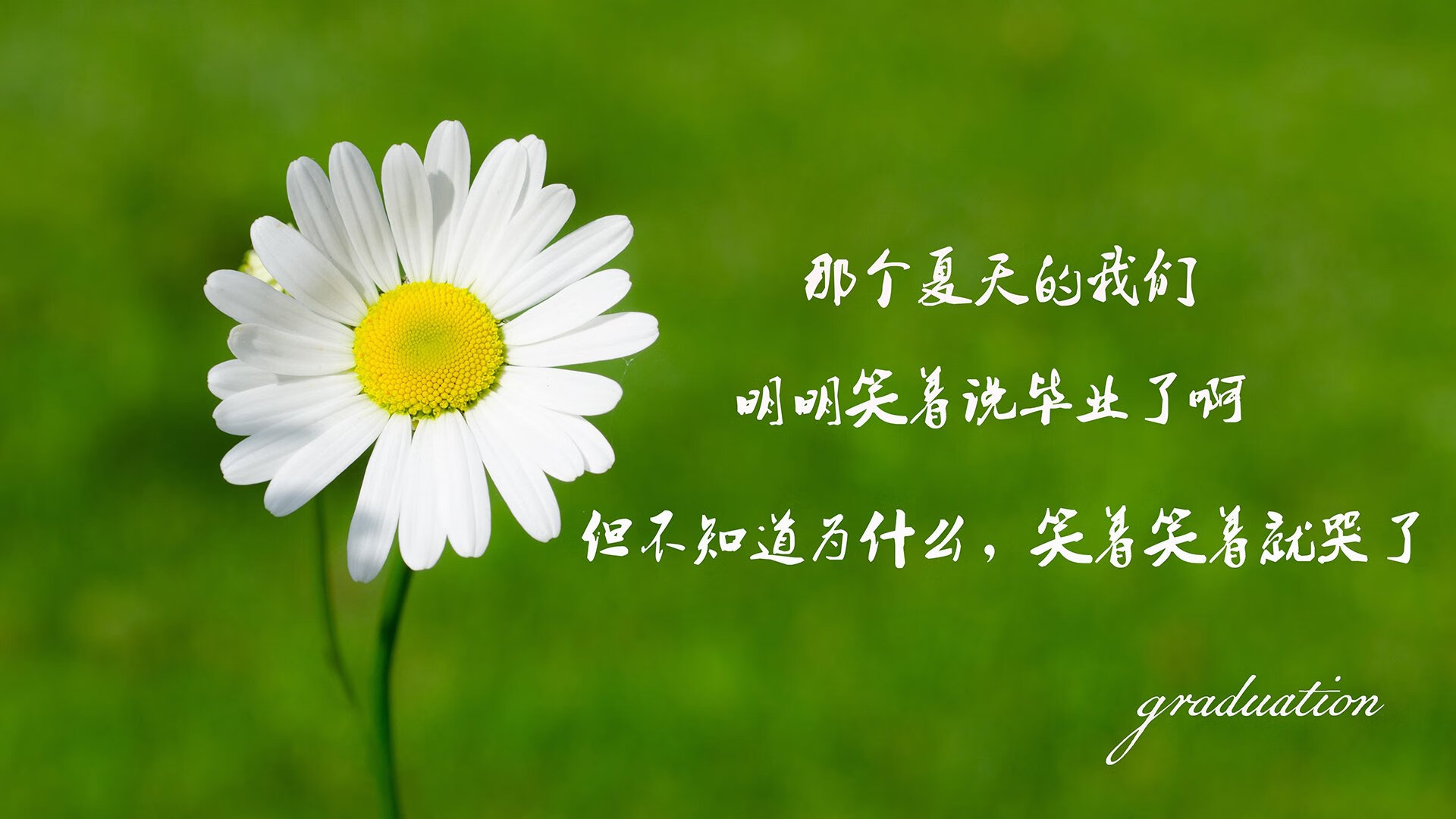 九游正版入口-【赛后点评】专家解析Judge单季全垒打破纪录的意义，全垒打记录