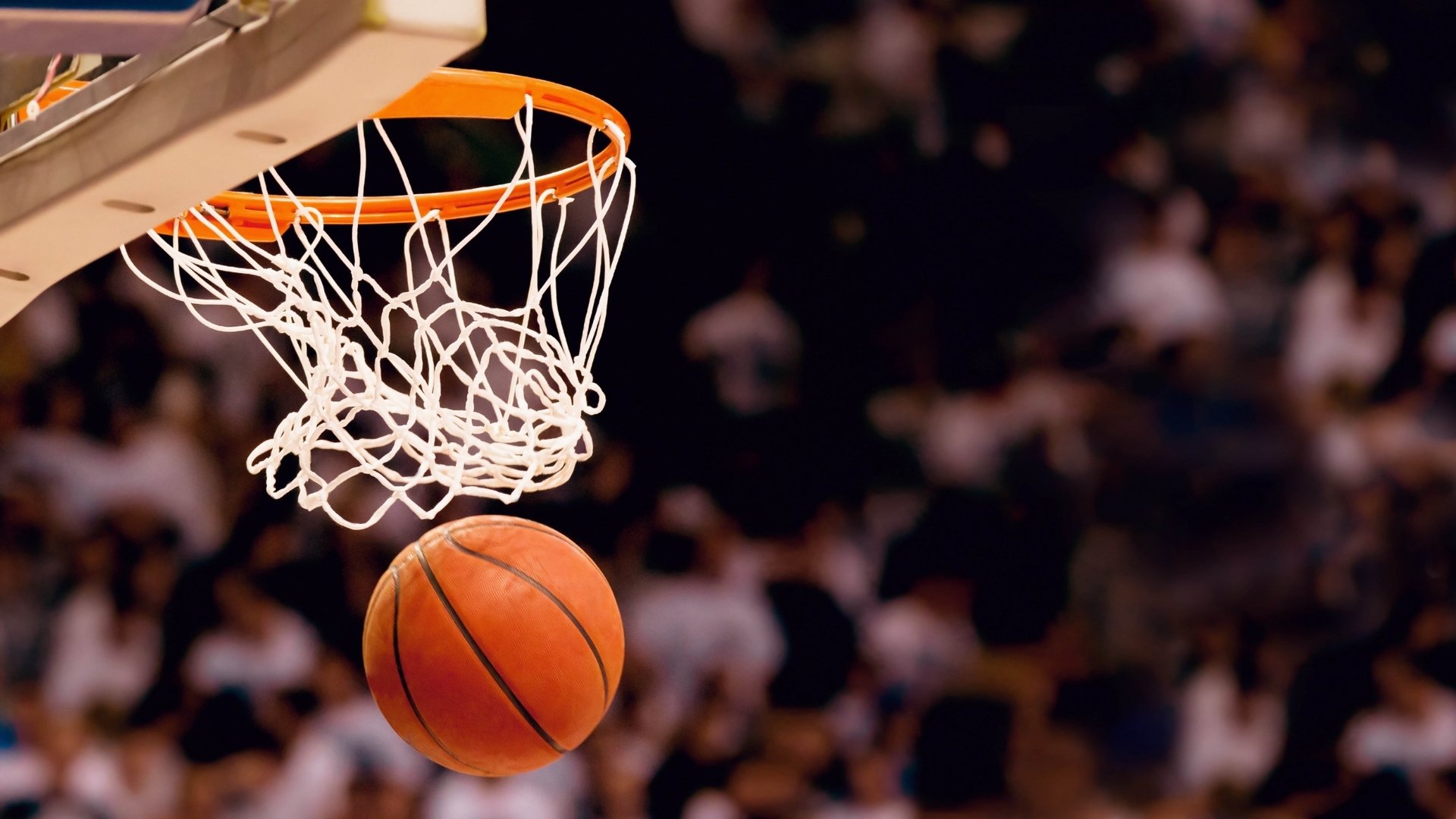 -布鲁诺·卡博克洛在NBA夏季联赛中展现适应能力，布鲁诺卡波科洛 2kol2