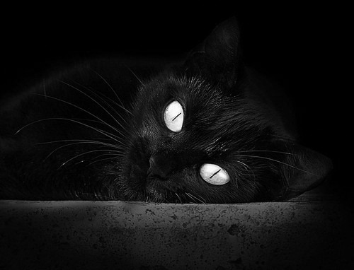 76人球队赛季目标明确,76人本赛季