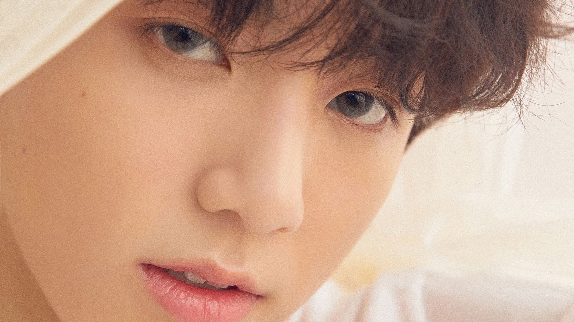 黑马球队崭露头角，向强敌发起挑战！，黑马队队徽