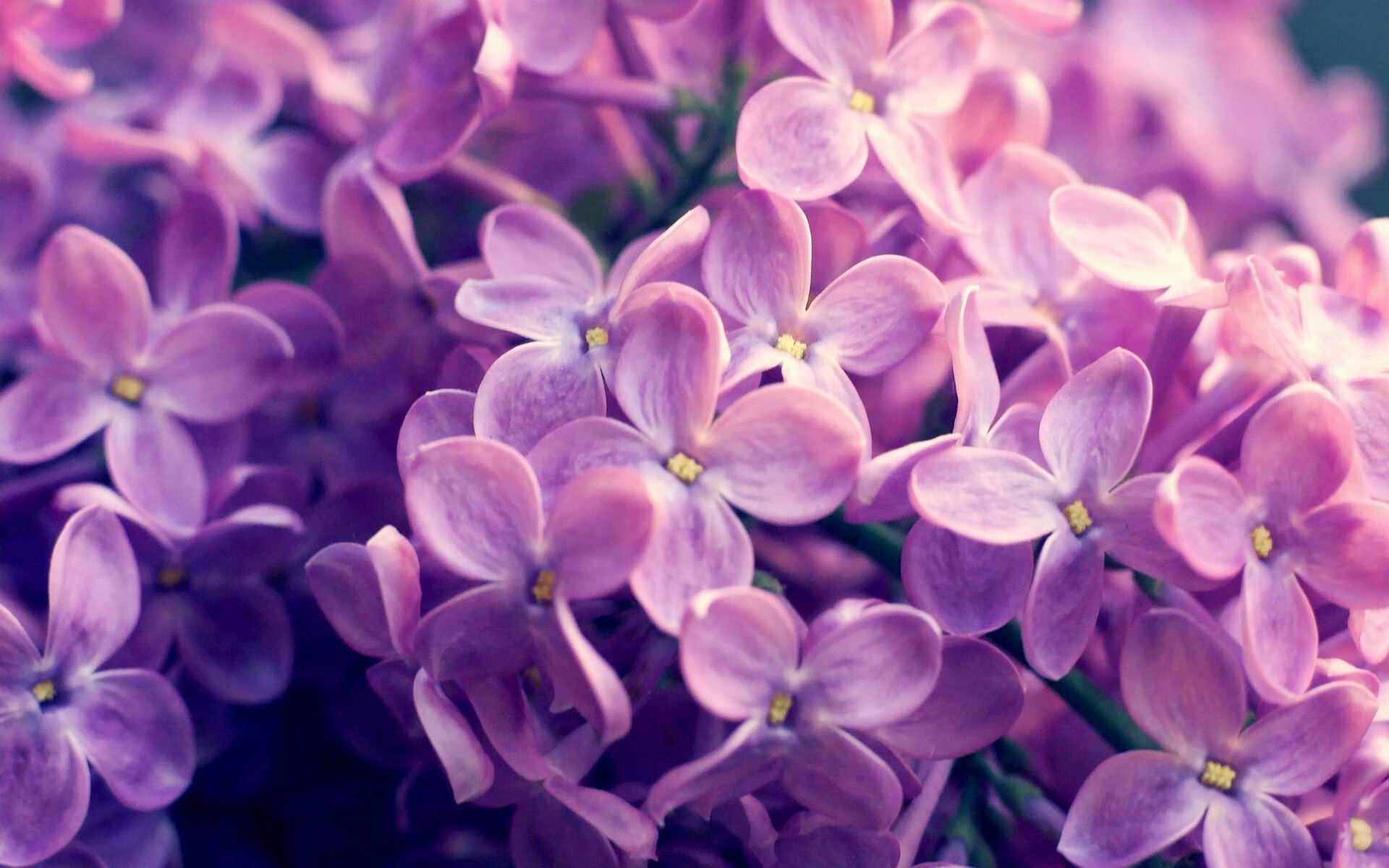 俱乐部球员考核标准缺乏动态调整机制，俱乐部球赛