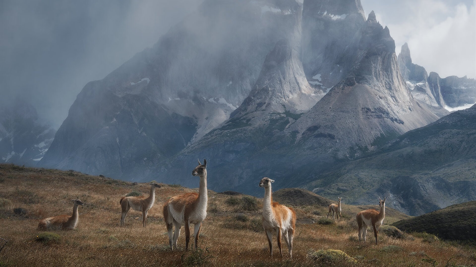 九游网-浙江雄狮凭借团队合作和稳定发挥稳步前进，浙江雄狮服务队