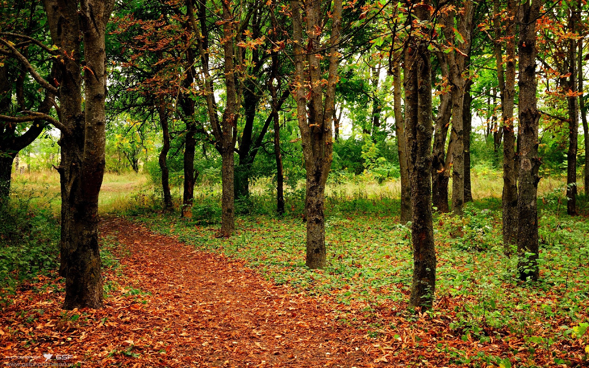 C罗通过直播感谢全球粉丝长期支持，c罗直播带货