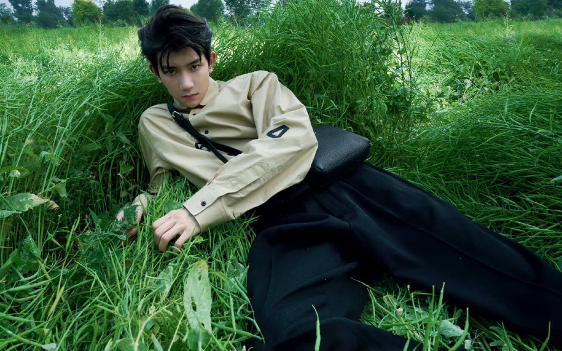 新西兰全黑队战术纪律严明，进攻防守游刃有余，新西兰全黑战舞视频