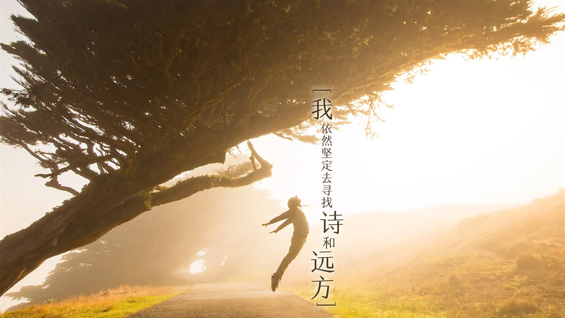 李冰洁再战200米自由泳 成绩稳定，李冰洁游泳比赛