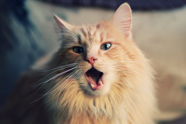 林丹执教青训致力羽球推广，林丹羽毛球比赛集锦