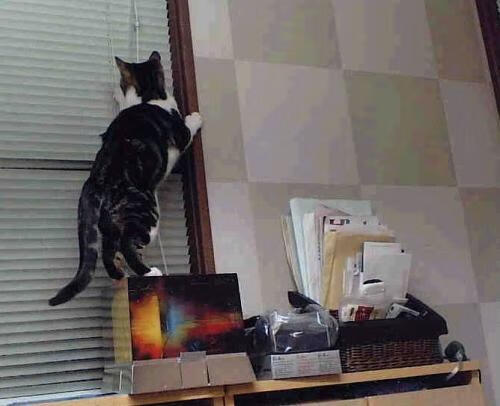 九游娱乐APP-西甲巅峰碰撞：战术创新中的经典时刻，西甲sporting